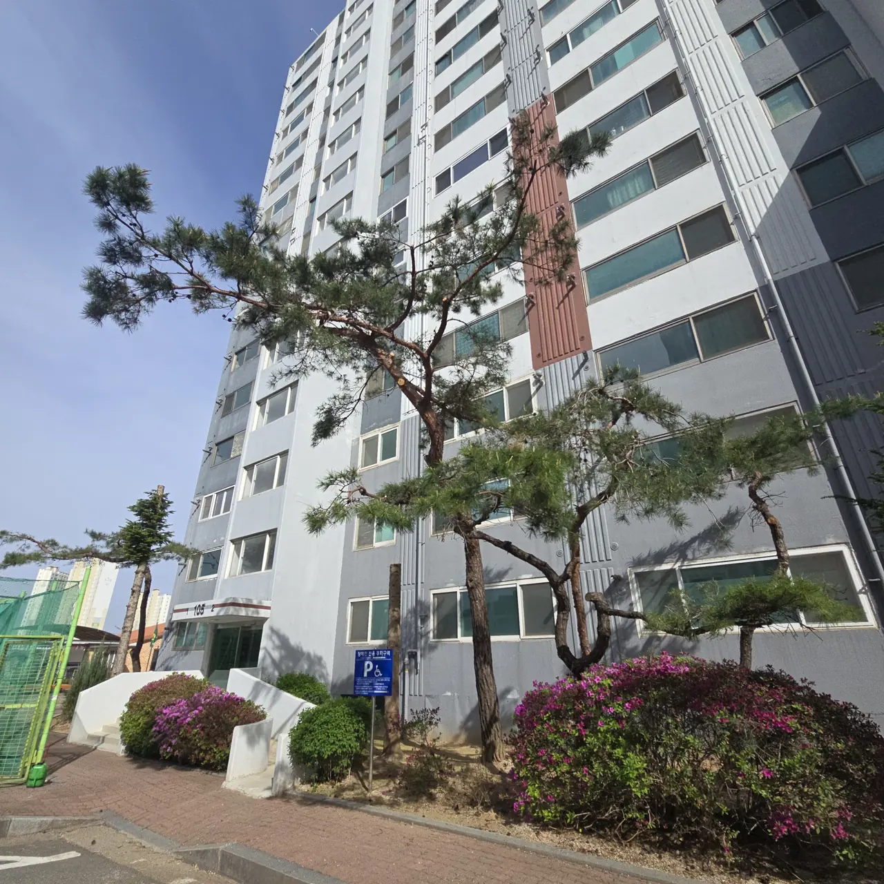 수목벌목 연관 시공 나무전지 현장 사진