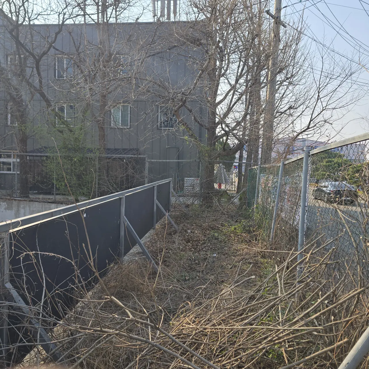 수목벌목 연관 시공 잡목제거 현장 사진