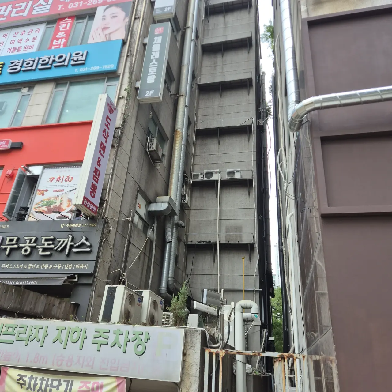 수목벌목 상가 뒤편 좁은 공간 큰 나무 작업 현장
