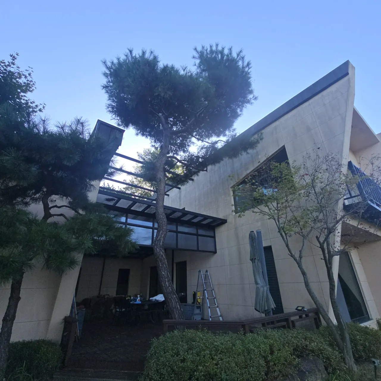 수목벌목 상담 안내 아보리스트 전지 작업 사진